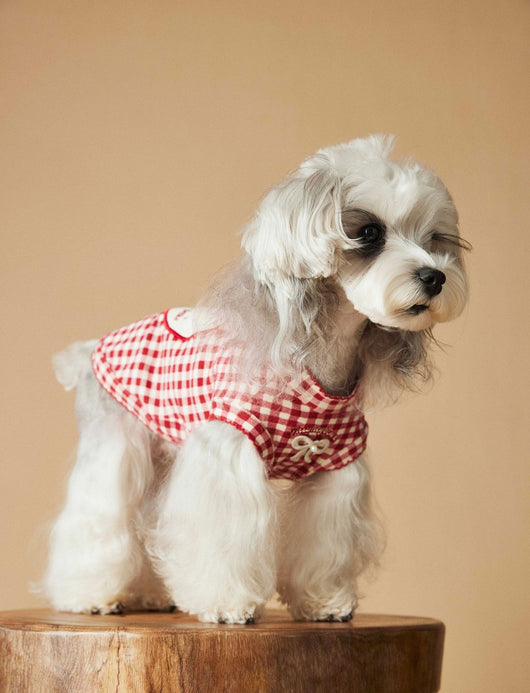 Chaleco Escocés sin Mangas para Perro Maltés y Schnauzer Teddy en Rojo - Image 8
