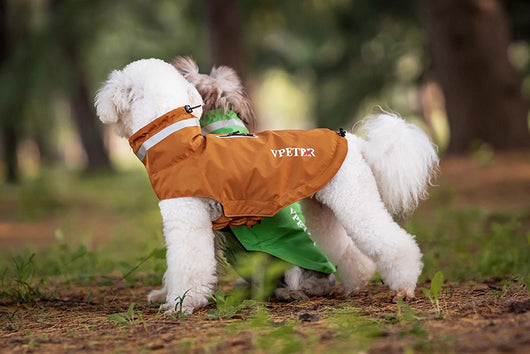 Poncho Impermeable Reflectante para Perros - Protección Total en Lluvia y Viento - Image 23