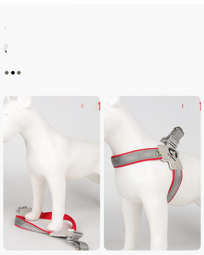 Arnés para Perro con Correa de Malla Transpirable y Agarre Manual - Image 13