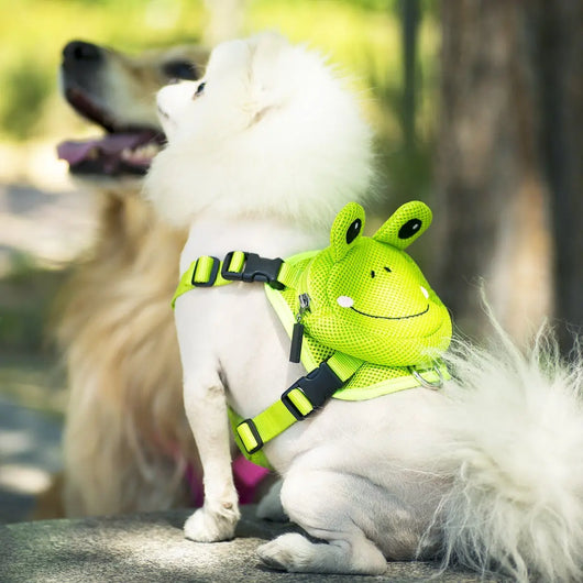 Arnés de Pecho para Mascotas - Image 16