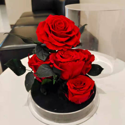 Rosa Roja Eterna en Acrílico - Regalo Romántico Jardín Secreto - Image 6