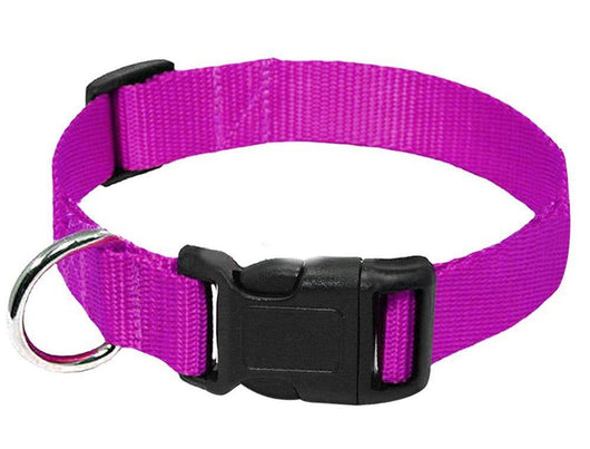 Correa para Perro de Nylon Resistente - Image 5