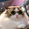 Gafas de Sol Multicolor para Mascotas - Accesorios Cool para Perros y Gatos - Image 2