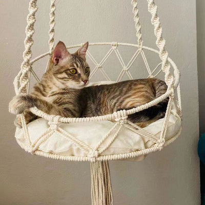 Hamaca Tejida para Gatos - Reposo Colgante Interior - Image 12