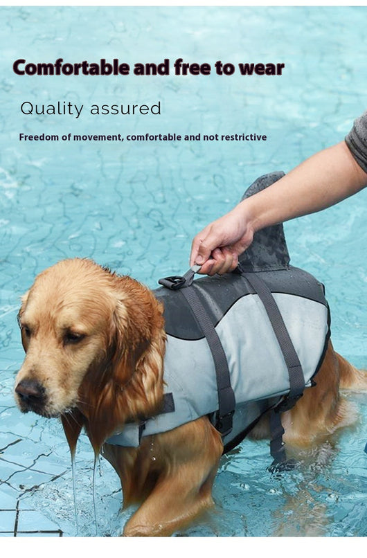 Chaleco Salvavidas para Perros Shark - Ropa de Baño Segura - Image 18
