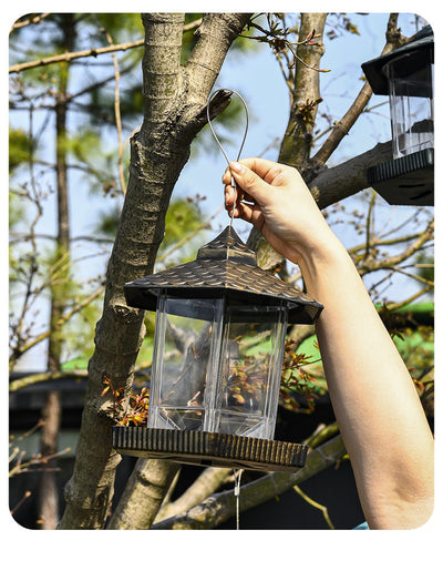Comedero para Pájaros Colgante de Exterior - Image 10