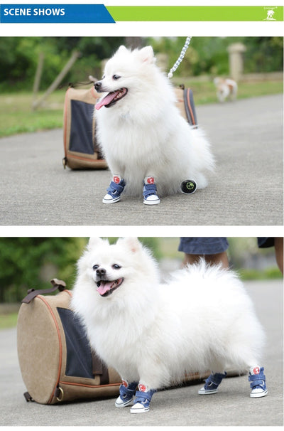 Zapatos Protectores para Perros Pequeños - Lona Antideslizante - Image 13