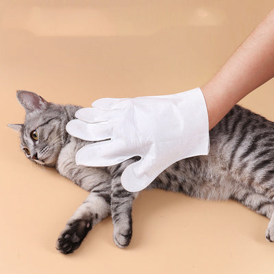 Toallitas Secas Limpiadoras para Gatos - Guantes Desechables de Aseo - Image 3
