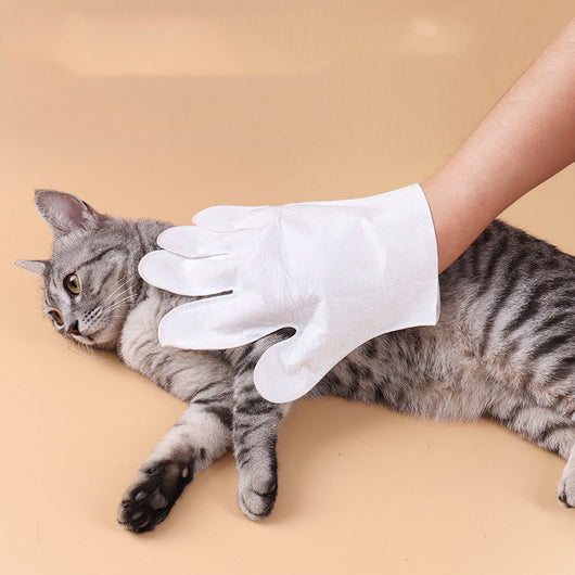 Toallitas Secas Limpiadoras para Gatos - Guantes Desechables de Aseo - Image 3