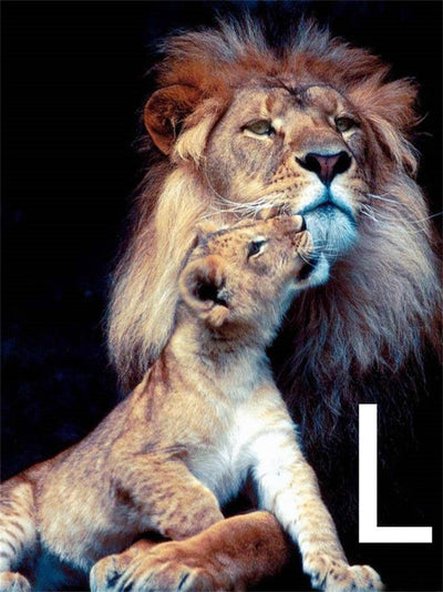 Pintura de Diamantes 5D - Bordado de León Animal - Image 15