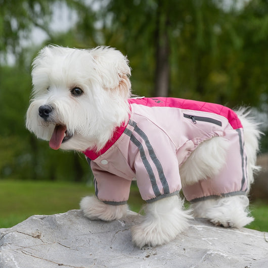 Abrigo Térmico para Perros Pequeños y Medianos - Chaqueta de Invierno con Forro Polar - Image 10