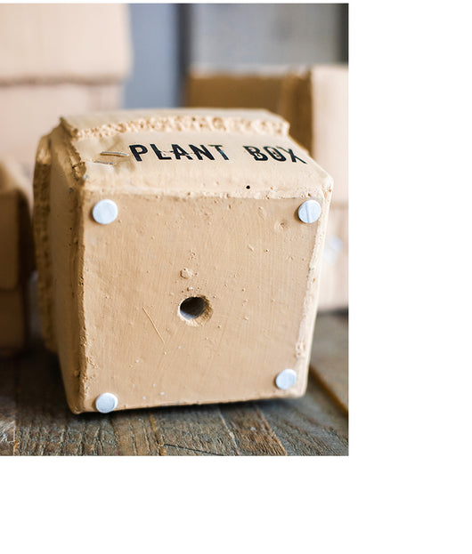 Maceta Creativa de Papel Cemento para Plantas de Interior y Balcón - Image 21