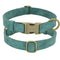 Green XS