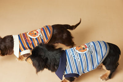 Polo Rayado para Perros Tony Bear - Ropa Cómoda y Elegante - Image 39
