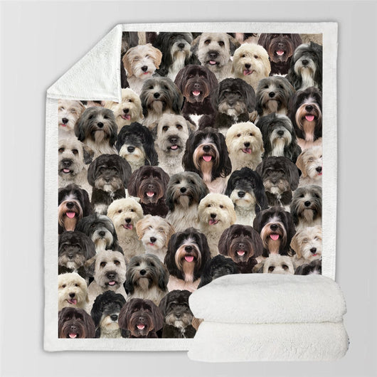 Manta Franela Estampada para Perros - Image 92
