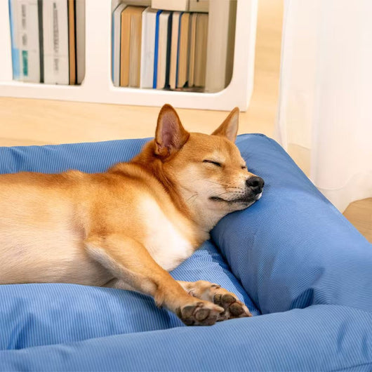 Cama Ortopédica para Mascotas con Soporte Envolvente - Image 23