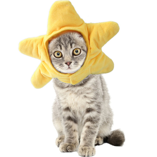 Gorro Rizado Divertido para Mascotas - Disfraz Cómico para Gatos y Perros - Image 14