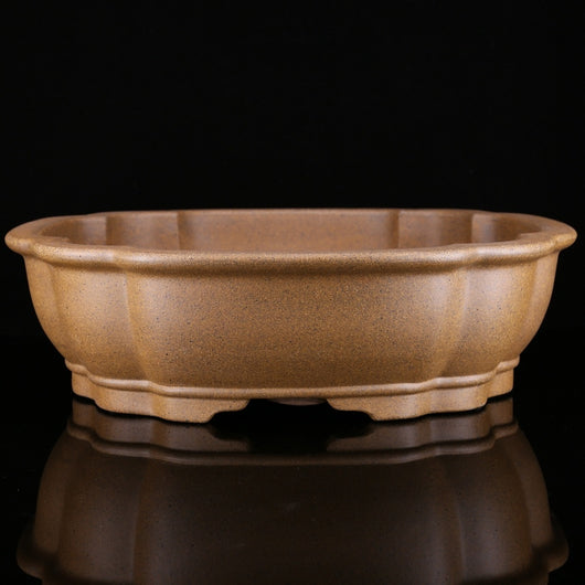 Cuenca de Té Púrpura Pinus Taiwanensis - Seis Compartimentos con Pino de Cinco Agujas - Image 11