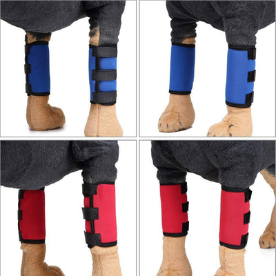 Protectores de Neopreno para Rodillas de Perros - Image 12