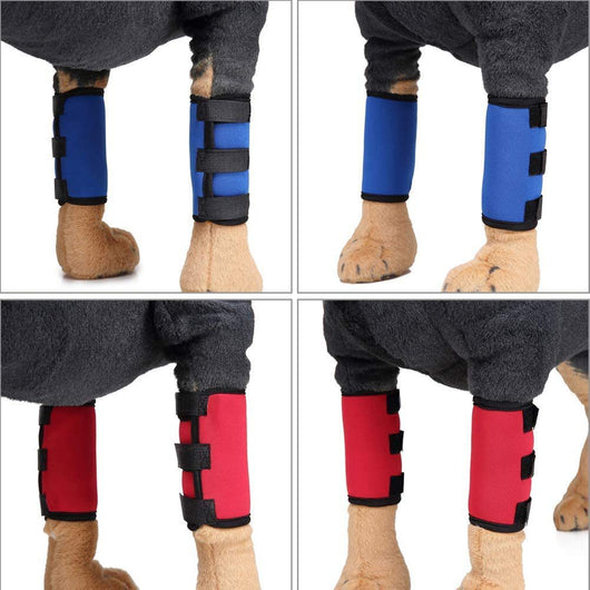 Protectores de Neopreno para Rodillas de Perros - Image 12