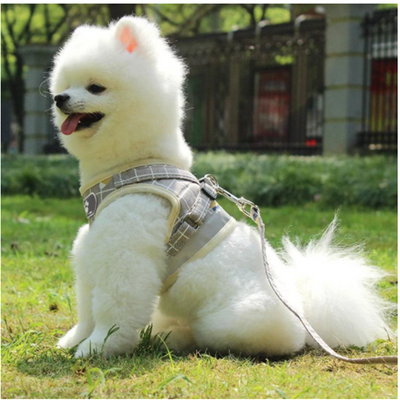 Arnés de Tracción para Perros con Cuerda de Paseo - Image 6