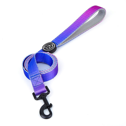 Arnés en Forma de I para Perros Grandes - Correa y Collar de Control para Samoyedos - Image 21