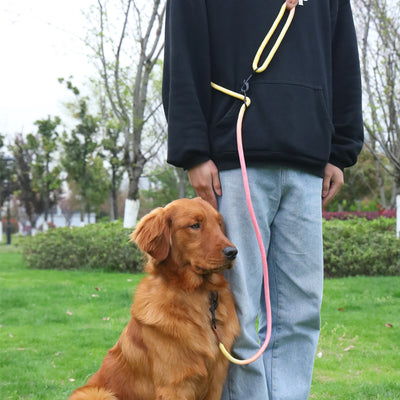 Correa Reflectante Multiusos para Pasear Perros y Gatos - Image 12