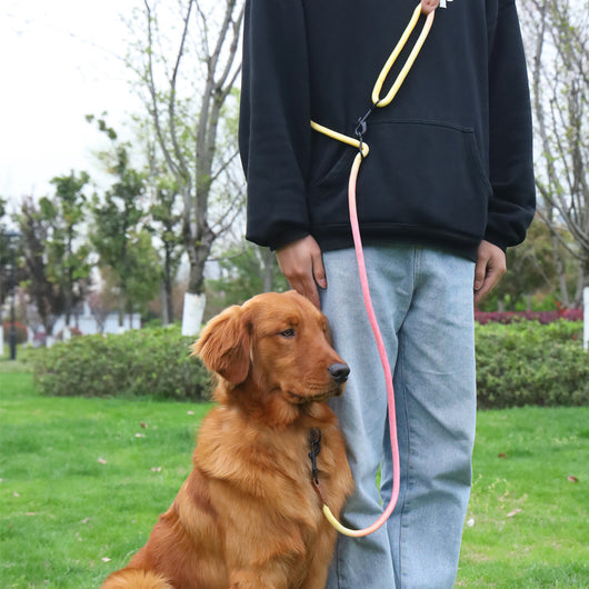 Correa Reflectante Multiusos para Pasear Perros y Gatos - Image 12