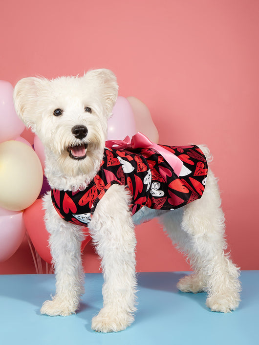 Vestido Estampado Día del Amor para Mascotas - Perros y Gatos - Image 9
