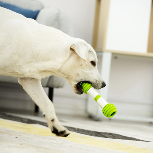 Juguete Automático para Perros Guiwei Happy Bone - Image 4