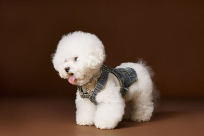 Falda Denim Tipo Peto sin Mangas para Perros Pequeños y Medianos - Image 14