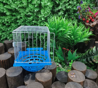 Small parrot breeding box with a blue plastic base and white wire cage, designed for bird nesting. - Image 10