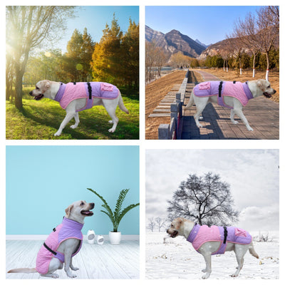 Abrigo Térmico para Perros - Invierno y Otoño - Image 3