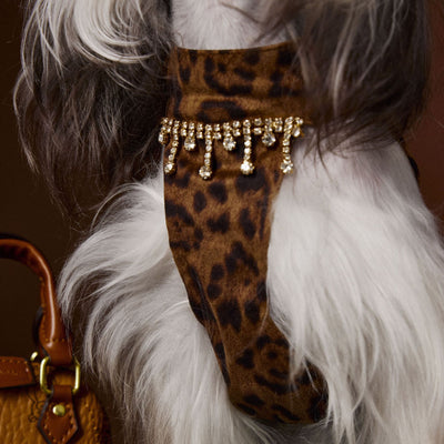 Vestido Otoñal Estampado Leopardo para Perros - Image 4