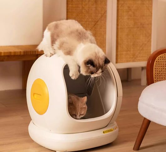 Arenero Automático Extragrande para Gatos - Image 2