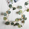 Eucalyptus Leaf European Standard