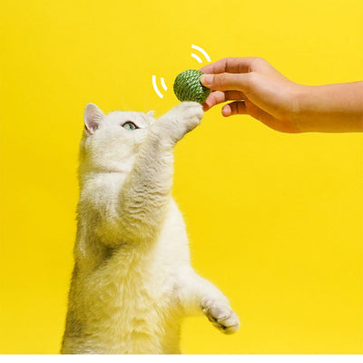 Juguetes Interactivos para Gatos - Pelotas de Sisal y Bastón Teaser - Image 2