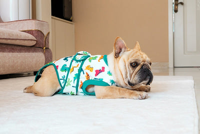 Ropa Quirúrgica Protectora para Mascotas - Anti-lamido Universal - Image 18