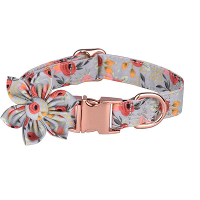 Juego de Collar y Correa Personalizado para Mascotas - Image 35