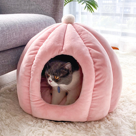 Cama Desmontable y Lavable para Gatos - Accesorios para Mascotas - Image 8