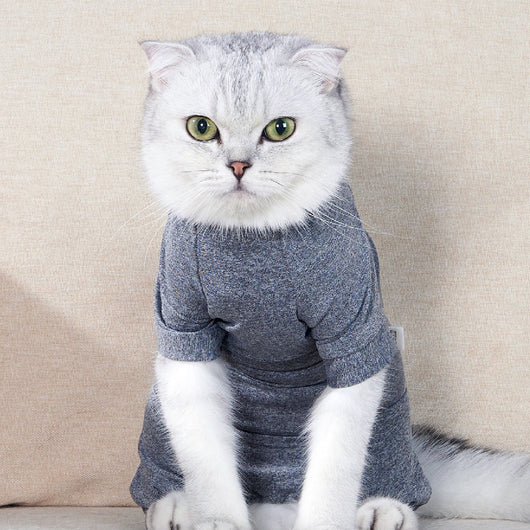 Ropa de Recuperación Personalizada para Gatos Esterilizados - Image 11
