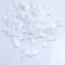Blanco 1 Cm Blanco 50 Piezas