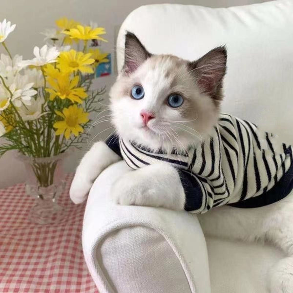 Suéter Gato Dos Bolsillos