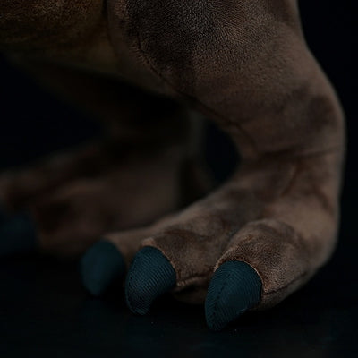 Peluche Dinosaurio Carnívoro Realista - Juguete de Simulación Adorable - Image 12