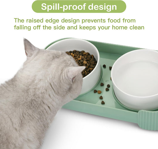 Comederos Elevados para Gatos de Cerámica 15° Antivómito con Base Antideslizante - Image 5