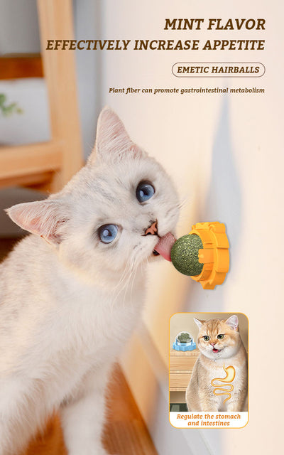 Juguete Mordedor Molar para Gatos con Hierba Gatera Adhesiva - Image 8