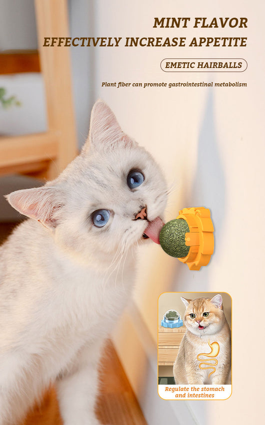 Juguete Mordedor Molar para Gatos con Hierba Gatera Adhesiva - Image 8