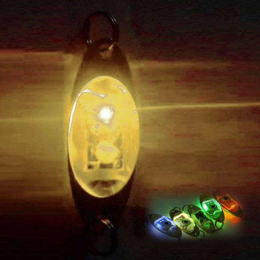 Anzuelo Luminoso con Batería - Señuelo Electrónico para Pesca Nocturna - Image 4