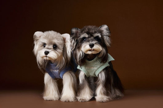 Suéter sin Mangas para Perro Bichón Maltés con Cabeza de Oso 3D - Image 17