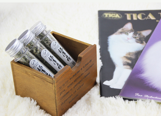 Snacks de Hojas de Hierba Gatera para Gatos - Image 10